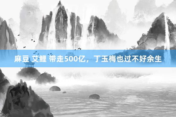 麻豆 艾鲤 带走500亿，丁玉梅也过不好余生