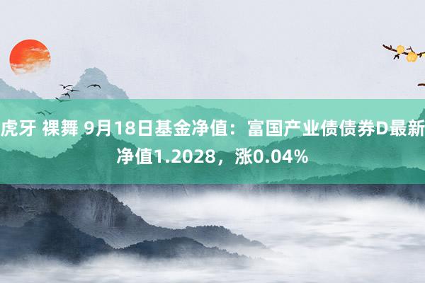 虎牙 裸舞 9月18日基金净值：富国产业债债券D最新净值1.