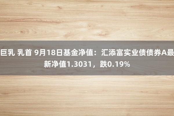 巨乳 乳首 9月18日基金净值：汇添富实业债债券A最新净值1.3031，跌0.19%