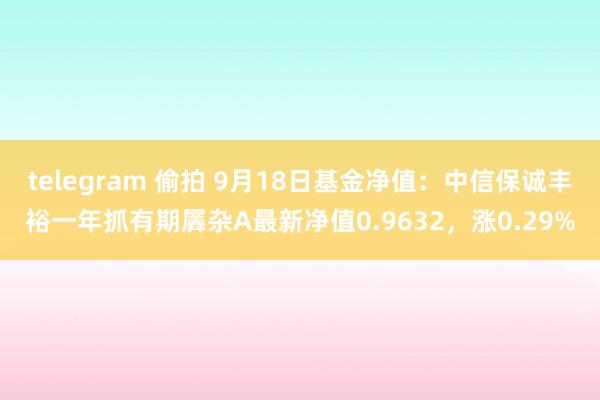 telegram 偷拍 9月18日基金净值：中信保诚丰裕一年抓有期羼杂A最新净值0.9632，涨0.29%