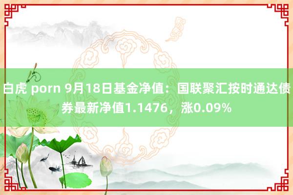 白虎 porn 9月18日基金净值：国联聚汇按时通达债券最新净值1.1476，涨0.09%