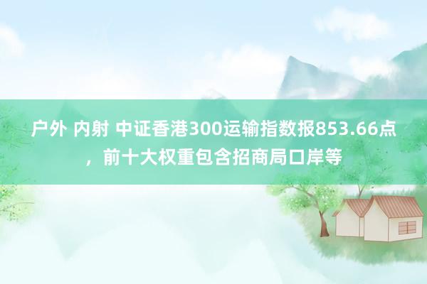 户外 内射 中证香港300运输指数报853.66点，前十大权重包含招商局口岸等