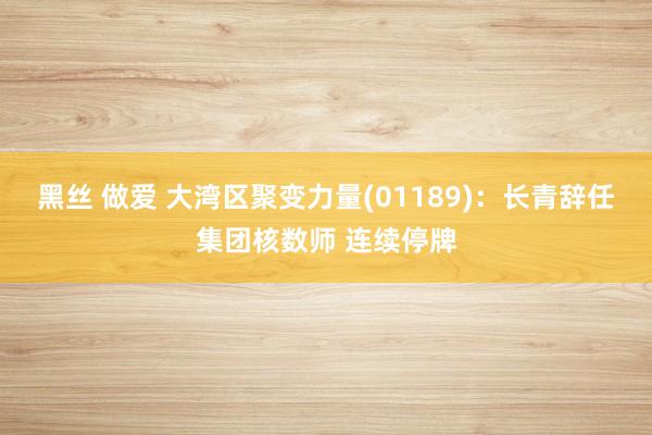 黑丝 做爱 大湾区聚变力量(01189)：长青辞任集团核数师 连续停牌