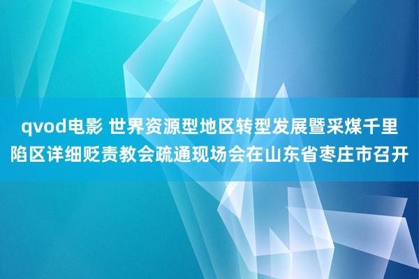 qvod电影 世界资源型地区转型发展暨采煤千里陷区详细贬责教会疏通现场会在山东省枣庄市召开