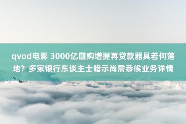 qvod电影 3000亿回购增握再贷款器具若何落地？多家银行东谈主士暗示尚需恭候业务详情