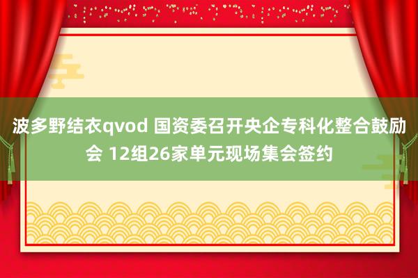 波多野结衣qvod 国资委召开央企专科化整合鼓励会 12组26家单元现场集会签约