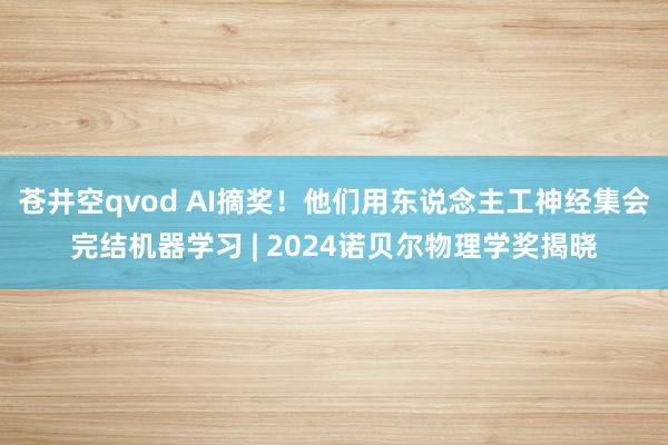 苍井空qvod AI摘奖！他们用东说念主工神经集会完结机器学习 | 2024诺贝尔物理学奖揭晓