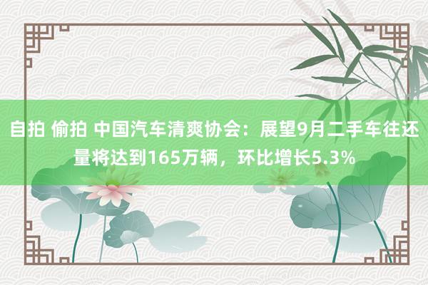 自拍 偷拍 中国汽车清爽协会：展望9月二手车往还量将达到165万辆，环比增长5.3%