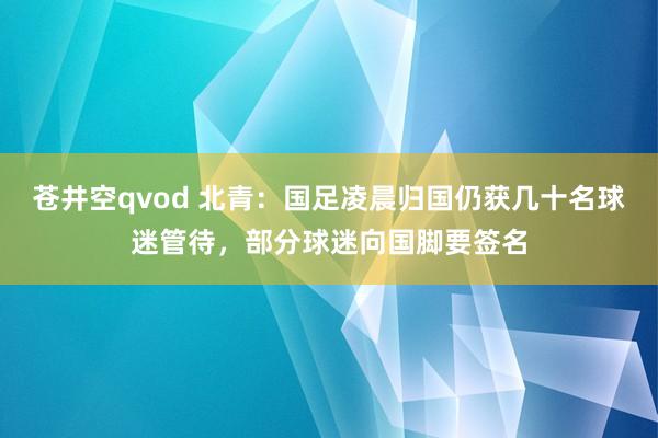 苍井空qvod 北青：国足凌晨归国仍获几十名球迷管待，部分球迷向国脚要签名