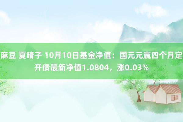 麻豆 夏晴子 10月10日基金净值：国元元赢四个月定开债最新净值1.0804，涨0.03%