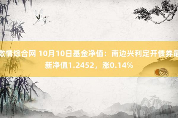 激情综合网 10月10日基金净值：南边兴利定开债券最新净值1.2452，涨0.14%