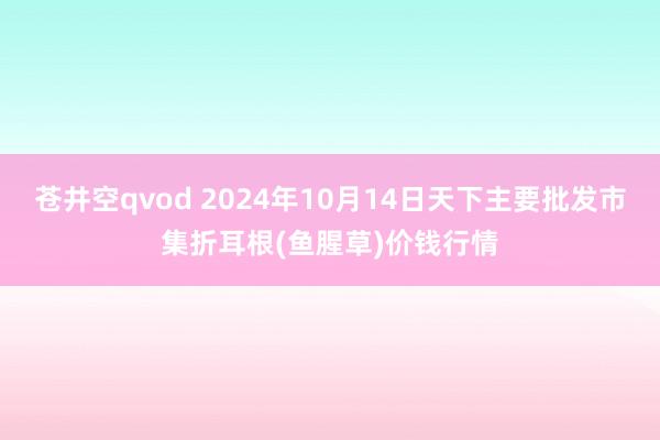 苍井空qvod 2024年10月14日天下主要批发市集折耳根(鱼腥草)价钱行情