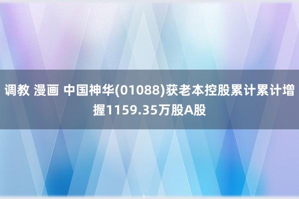 调教 漫画 中国神华(01088)获老本控股累计累计增握1159.35万股A股