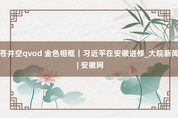 苍井空qvod 金色相框｜习近平在安徽进修_大皖新闻 | 安徽网