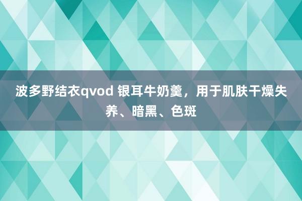 波多野结衣qvod 银耳牛奶羹，用于肌肤干燥失养、暗黑、色斑