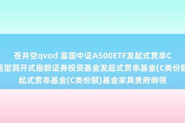 苍井空qvod 富国中证A500ETF发起式贯串C: 富国中证A500往返型洞开式指数证券投资基金发起式贯串基金(C类份额)基金家具贵府纲领