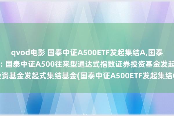 qvod电影 国泰中证A500ETF发起集结A，国泰中证A500ETF发起集结C: 国泰中证A500往来型通达式指数证券投资基金发起式集结基金(国泰中证A500ETF发起集结C)基金居品贵寓选录