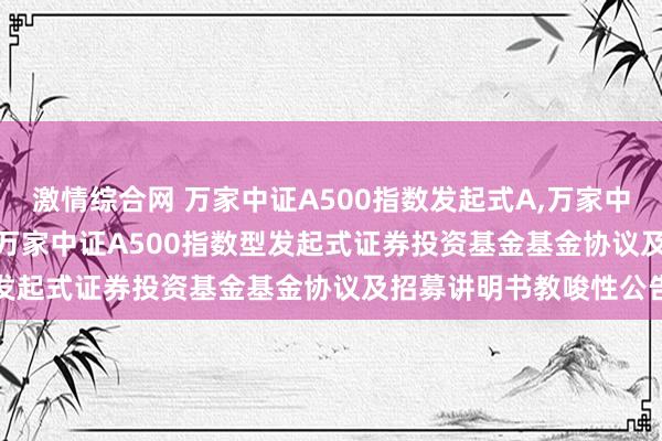 激情综合网 万家中证A500指数发起式A，万家中证A500指数发起式C: 万家中证A500指数型发起式证券投资基金基金协议及招募讲明书教唆性公告