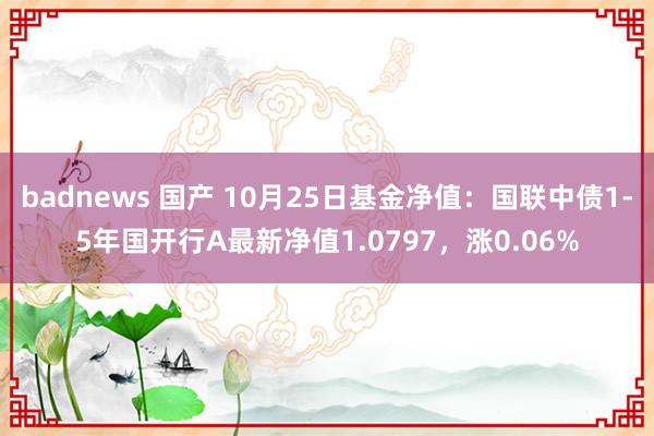 badnews 国产 10月25日基金净值：国联中债1-5年国开行A最新净值1.0797，涨0.06%