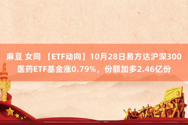 麻豆 女同 【ETF动向】10月28日易方达沪深300医药ETF基金涨0.79%，份额加多2.46亿份