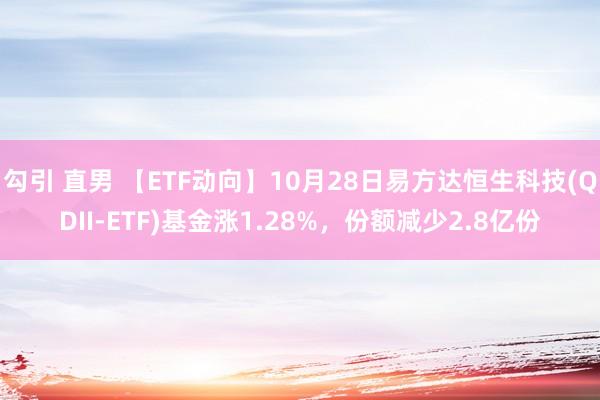 勾引 直男 【ETF动向】10月28日易方达恒生科技(QDII-ETF)基金涨1.28%，份额减少2.8亿份