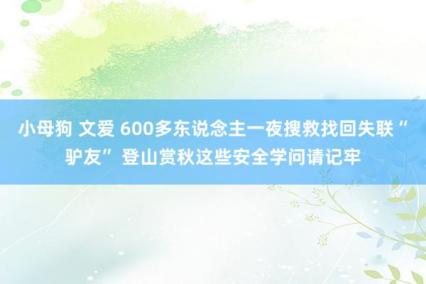 小母狗 文爱 600多东说念主一夜搜救找回失联“驴友” 登山赏秋这些安全学问请记牢