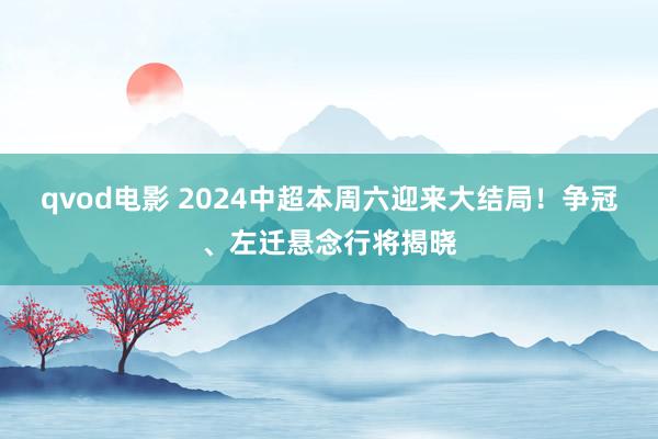 qvod电影 2024中超本周六迎来大结局！争冠、左迁悬念行将揭晓