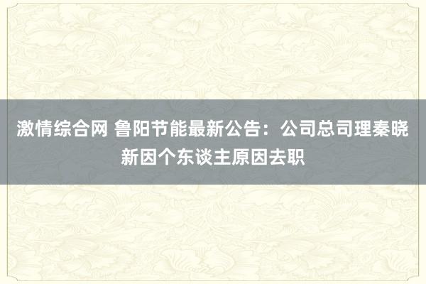 激情综合网 鲁阳节能最新公告：公司总司理秦晓新因个东谈主原因去职