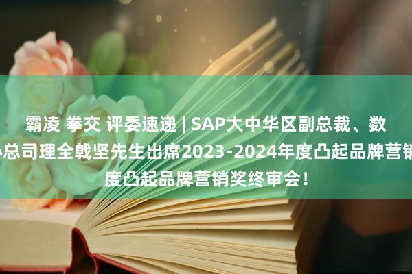 霸凌 拳交 评委速递 | SAP大中华区副总裁、数字营销中心