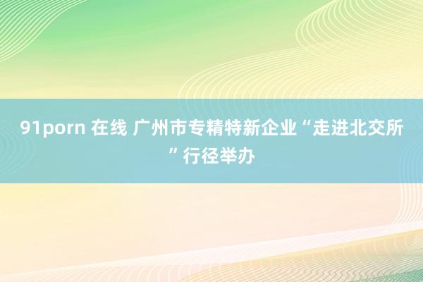 91porn 在线 广州市专精特新企业“走进北交所”行径举办