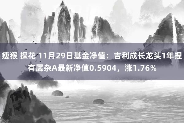 瘦猴 探花 11月29日基金净值：吉利成长龙头1年捏有羼杂A最新净值0.5904，涨1.76%