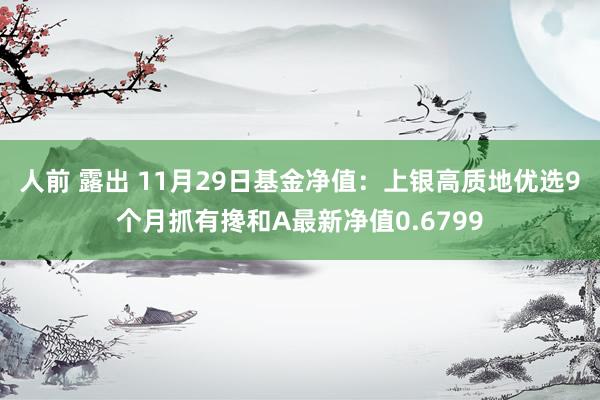 人前 露出 11月29日基金净值：上银高质地优选9个月抓有搀和A最新净值0.6799