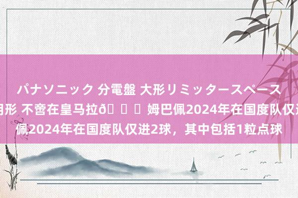 パナソニック 分電盤 大形リミッタースペースなし 露出・半埋込両用形 不啻在皇马拉👀姆巴佩2024年在国度队仅进2球，其中包括1粒点球