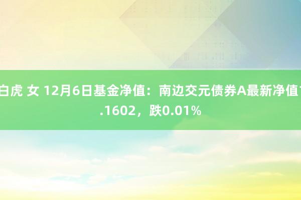 白虎 女 12月6日基金净值：南边交元债券A最新净值1.1602，跌0.01%