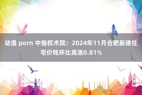 动漫 porn 中指权术院：2024年11月合肥新建住宅价钱环比高涨0.81%