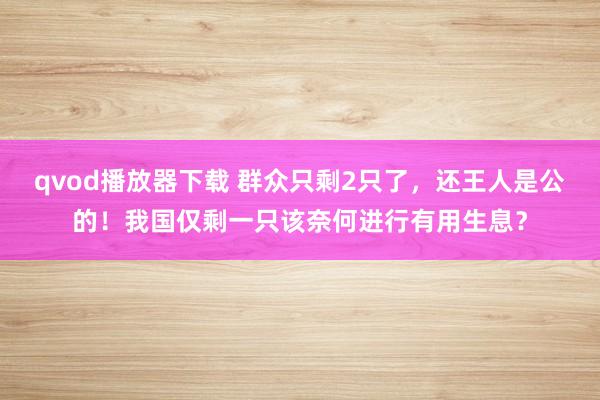 qvod播放器下载 群众只剩2只了，还王人是公的！我国仅剩一只该奈何进行有用生息？