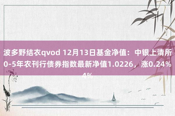 波多野结衣qvod 12月13日基金净值：中银上清所0-5年农刊行债券指数最新净值1.0226，涨0.24%