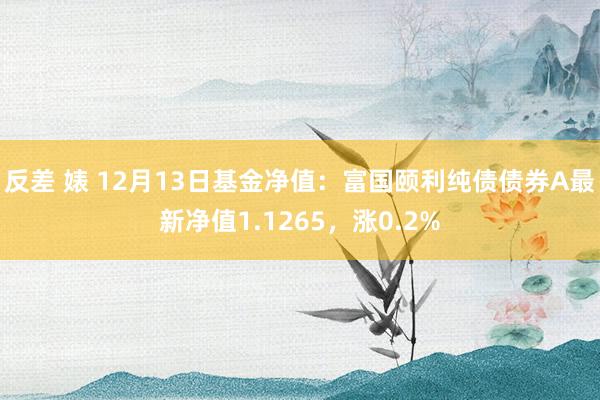 反差 婊 12月13日基金净值：富国颐利纯债债券A最新净值1.1265，涨0.2%