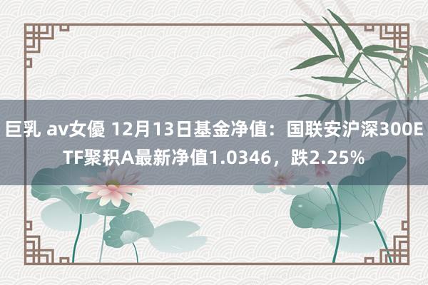 巨乳 av女優 12月13日基金净值：国联安沪深300ETF聚积A最新净值1.0346，跌2.25%