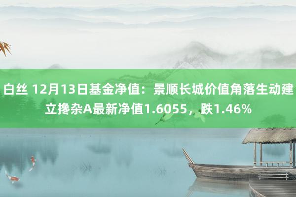 白丝 12月13日基金净值：景顺长城价值角落生动建立搀杂A最新净值1.6055，跌1.46%