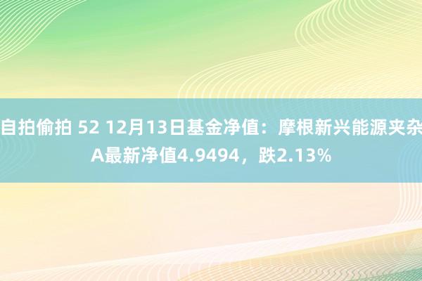 自拍偷拍 52 12月13日基金净值：摩根新兴能源夹杂A最新净值4.9494，跌2.13%