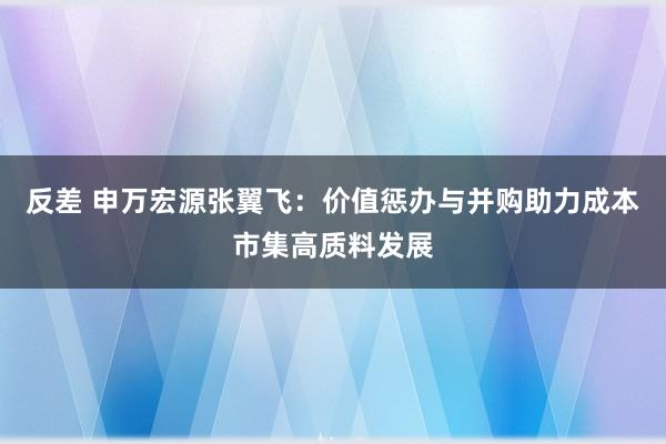 反差 申万宏源张翼飞：价值惩办与并购助力成本市集高质料发展