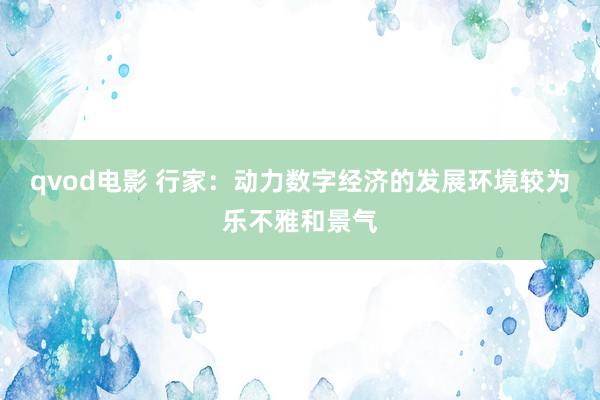 qvod电影 行家：动力数字经济的发展环境较为乐不雅和景气