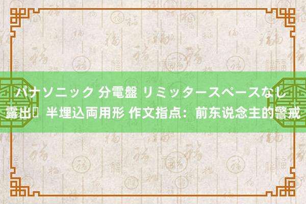 パナソニック 分電盤 リミッタースペースなし 露出・半埋込両用形 作文指点：前东说念主的警戒