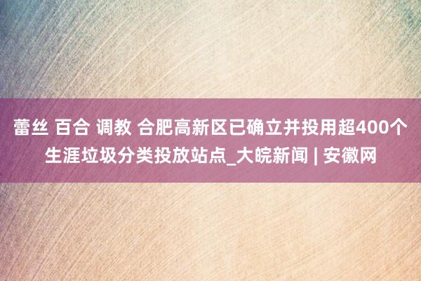 蕾丝 百合 调教 合肥高新区已确立并投用超400个生涯垃圾分类投放站点_大皖新闻 | 安徽网