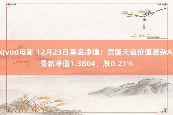 qvod电影 12月23日基金净值：富国天益价值混杂A最新净值1.3804，跌0.21%