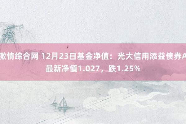 激情综合网 12月23日基金净值：光大信用添益债券A最新净值1.027，跌1.25%