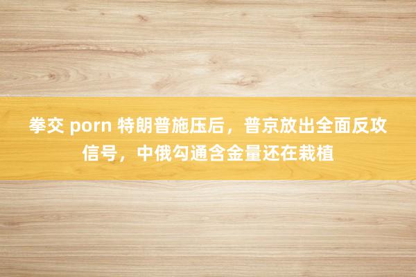 拳交 porn 特朗普施压后，普京放出全面反攻信号，中俄勾通