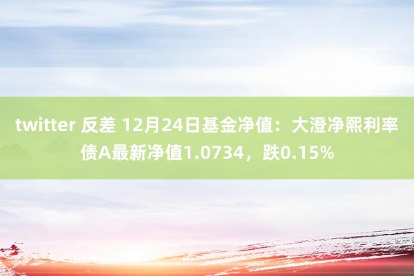 twitter 反差 12月24日基金净值：大澄净熙利率债A