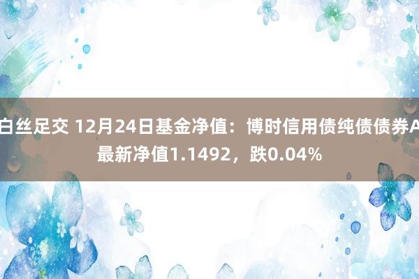 白丝足交 12月24日基金净值：博时信用债纯债债券A最新净值